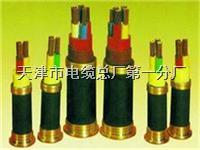 JHS-3*2.5mm2電纜 適合特殊環(huán)境下的專業(yè)選擇