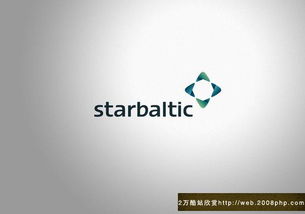 歐美StarBaltic公司企業(yè)網(wǎng)站VI形象設(shè)計與企業(yè)形象策劃