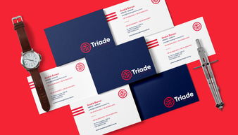 專業(yè)塑造信任 Triade工業(yè)品檢測企業(yè)品牌VI形象設(shè)計與企業(yè)形象策劃